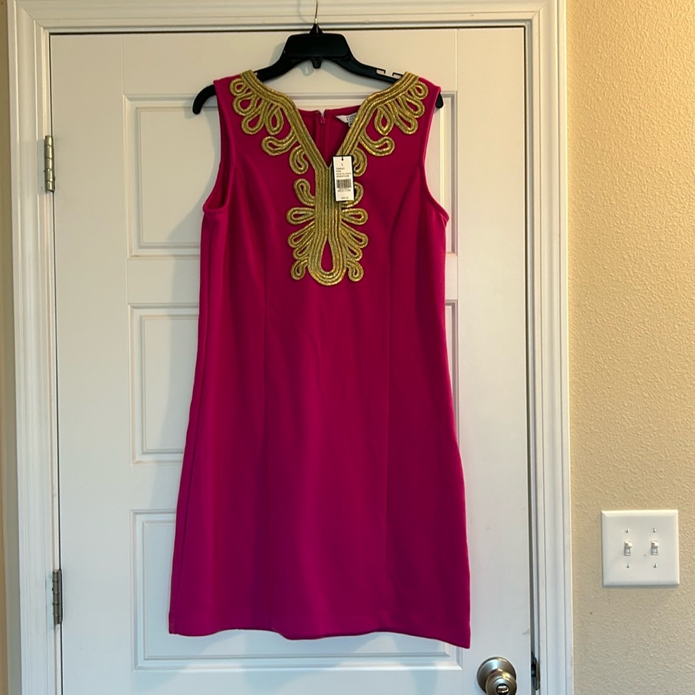 NWT pink crown and Ivy dress